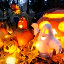 6-pack-led-pumpkin-lights-battery-operat-6.jpg