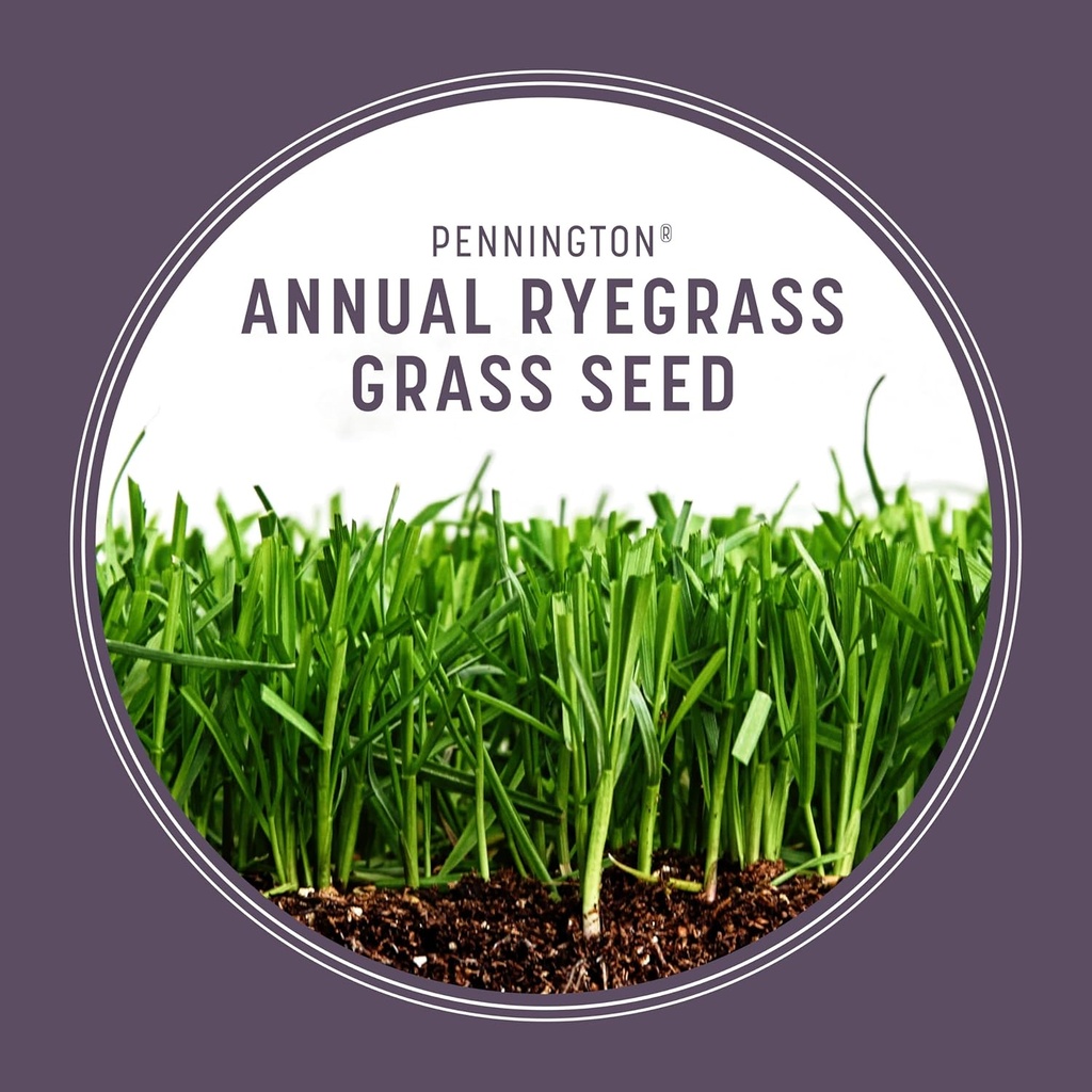 pennington-annual-ryegrass-grass-seed-10-5.jpg