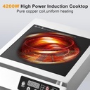 commercial-induction-cooktop---powerful--5.jpg