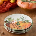 harvest-fields-11-ceramic-dinner-plates--4.jpg