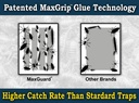 maxguard-maxgrip-glue-traps-24-traps-non-4.jpg