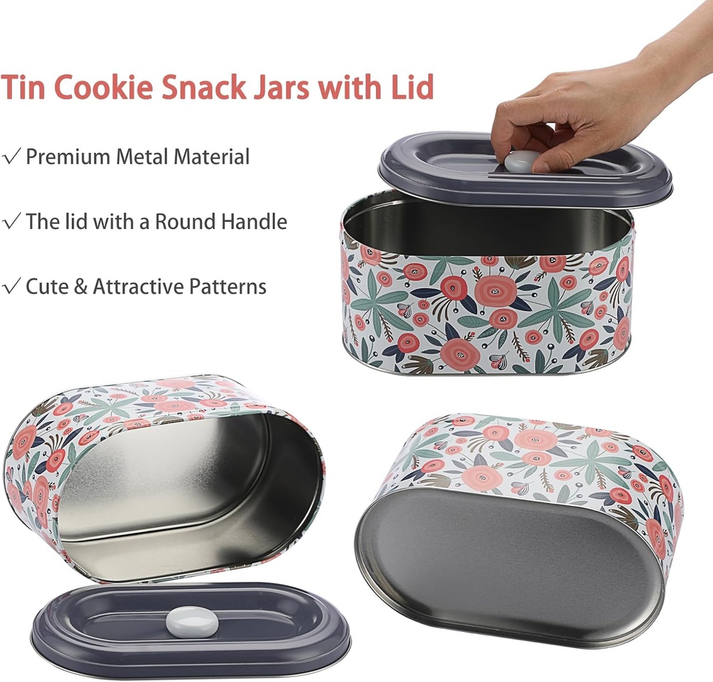 bstkey-2-pack-cookie-tins-cookie-snack-j-3.jpg