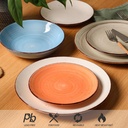 dinner-plates-105-inch-ceramic-plates-se-3.jpg