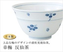 set-of-10-sencha-kouume-tosen-tea-37-x-2-3.jpg