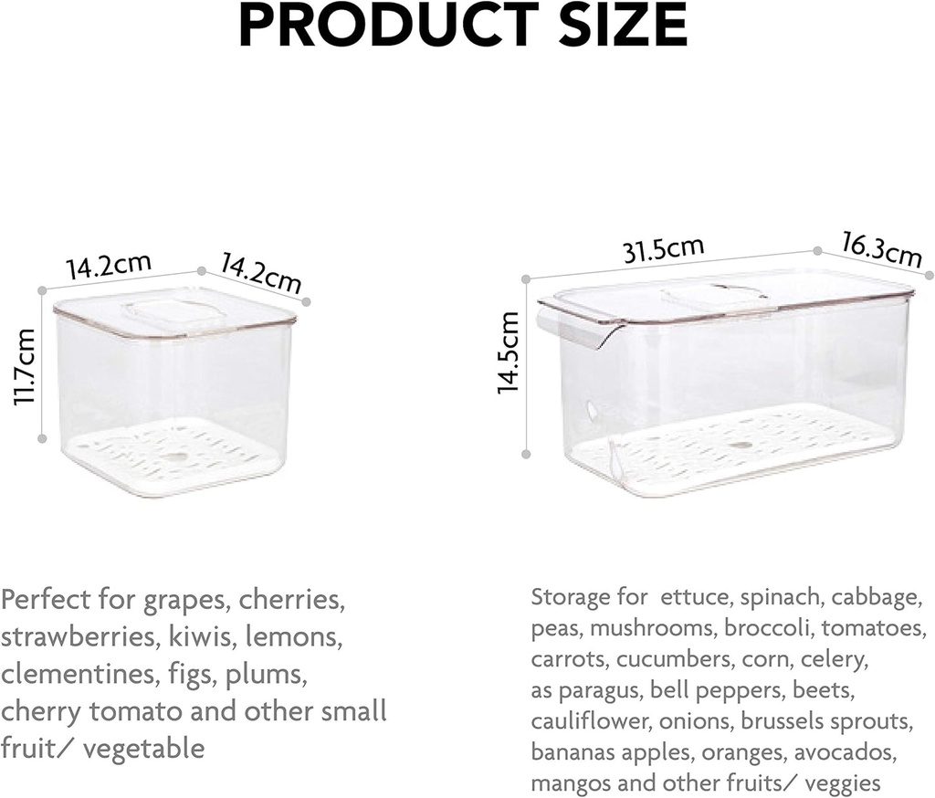 elabo-fruit-storage-containers-for-fridg-5.jpg
