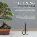 bamboomn-72-black-bonsai-trimming-shear--6.jpg