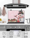 christmas-countertop-burners-protection--5.jpg