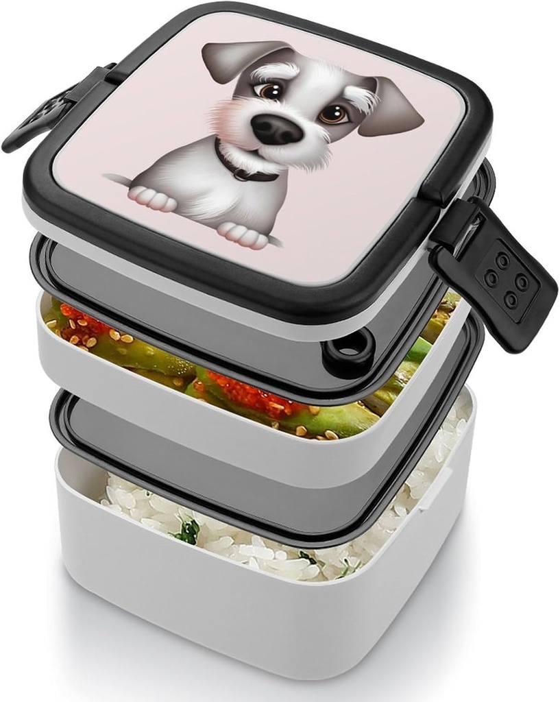 bento-lunch-box-for-women-lunch-containe-4.jpg