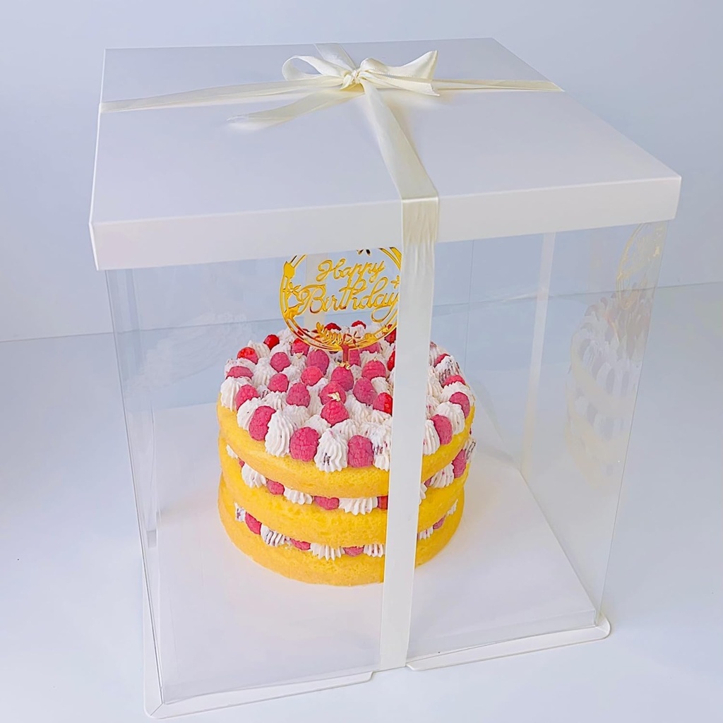 clear-acrylic-cake-box-14-x-14-x-14-inch-2.jpg