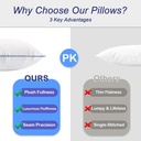 12-x-20-pillow-insert-set-of-2-indoor-th-3.jpg
