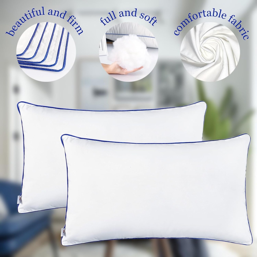 12-x-20-pillow-insert-set-of-2-indoor-th-6.jpg