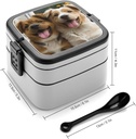 stackable-double-layer-bento-box-funny-d-2.jpg