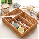 portable-divided-storage-tray-stylish-or-4.jpg