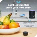 katchy-duo-indoor-flying-insect-trap-wit-4.jpg