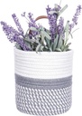 wall-hanging-basket-small-woven-hanging--3.jpg