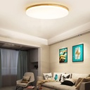 slim-round-simple-ceiling-lamp-flat-mode-3.jpg