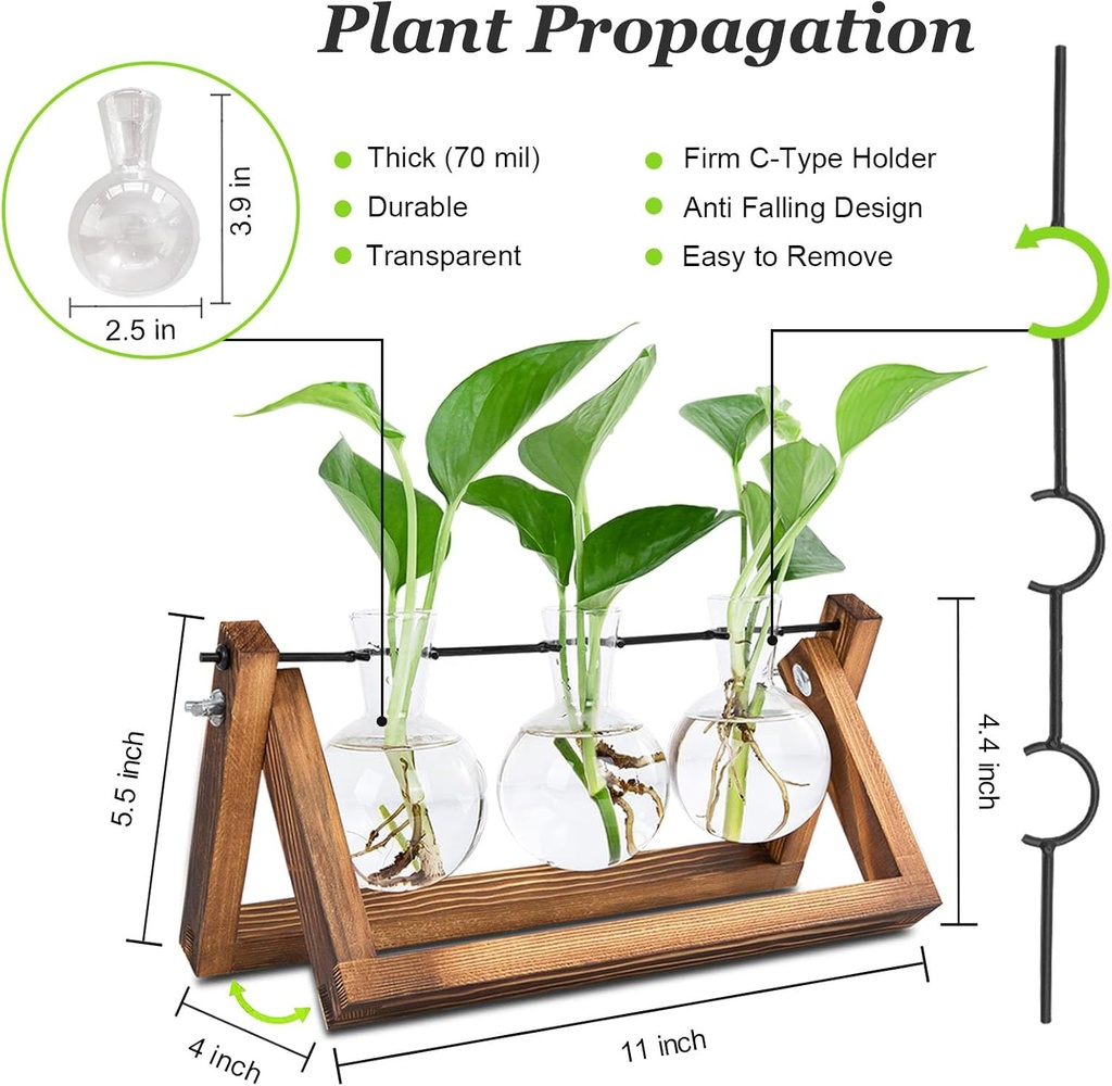 plant-propagation-station-plant-terrariu-3.jpg