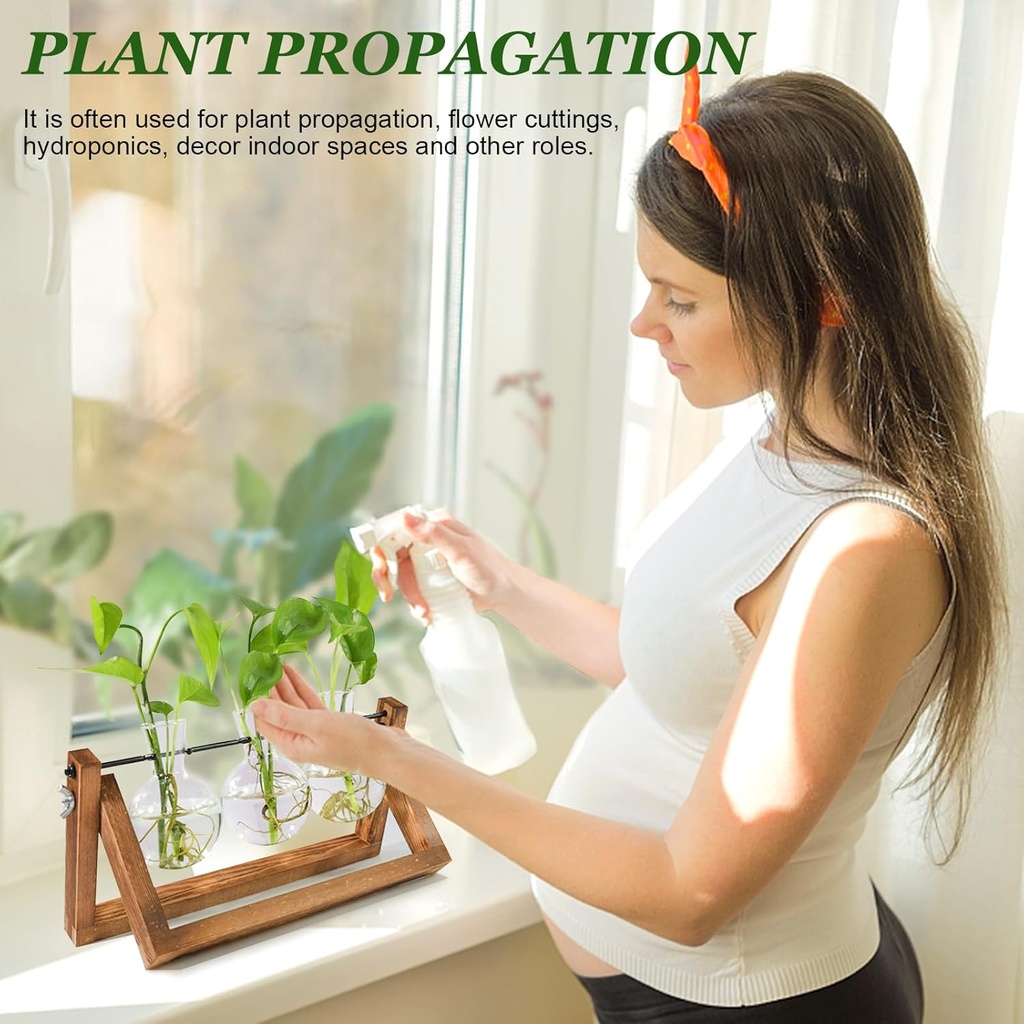 plant-propagation-station-plant-terrariu-4.jpg