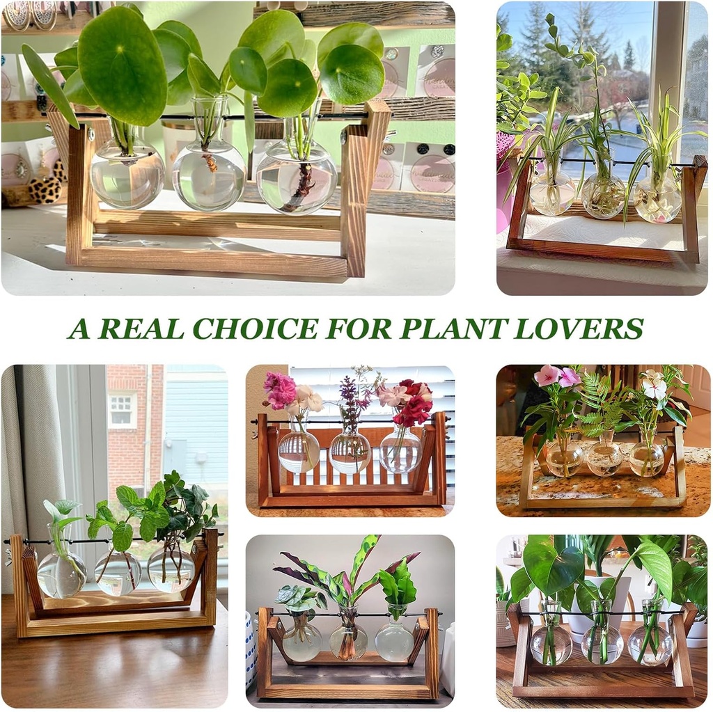 plant-propagation-station-plant-terrariu-5.jpg
