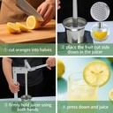 professional-lemon-smasher-citrus-juicer-5.jpg