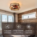 189in-boho-ceiling-fan-with-lights-flush-4.jpg