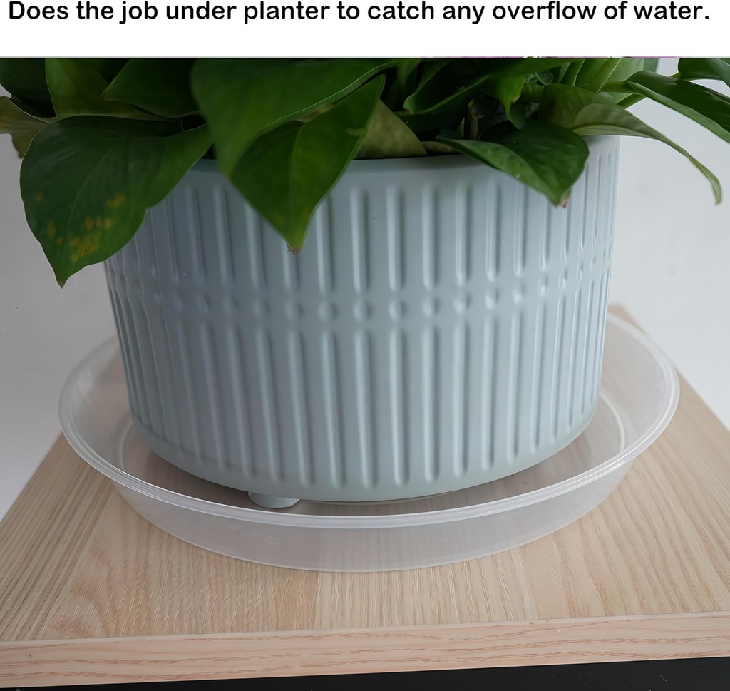 20-pack-plant-saucer-tray-6-8-10-12-inch-5.jpg