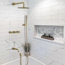 rbrohant-brushed-gold-shower-system-with-2.jpg