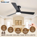 ceiling-fans-with-lights-48-inch-low-pro-2.jpg