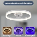 20-ceiling-fan-with-light-upgraded-low-p-2.jpg