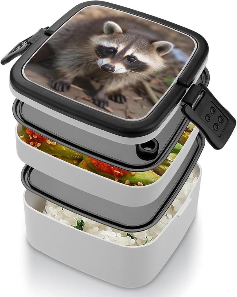 bento-box-for-adult-cub-raccoon-bento-lu-5.jpg