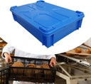 dynwave-bread-box-bread-flour-container--5.jpg