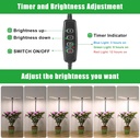 plant-grow-lights-for-indoor-plants-full-4.jpg