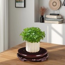 wooden-display-stand-18cm-carved-round-b-3.jpg