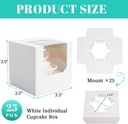 bundle-of-25-pcs-cupcake-boxes-and-200pc-4.jpg