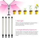 grow-lights-for-indoor-plants-four-head--2.jpg