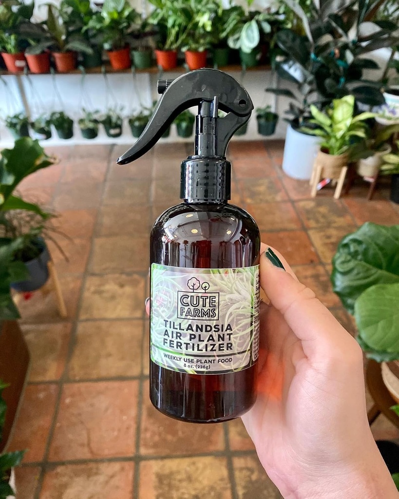 cute-farms-tillandsia-air-plant-fertiliz-3.jpg