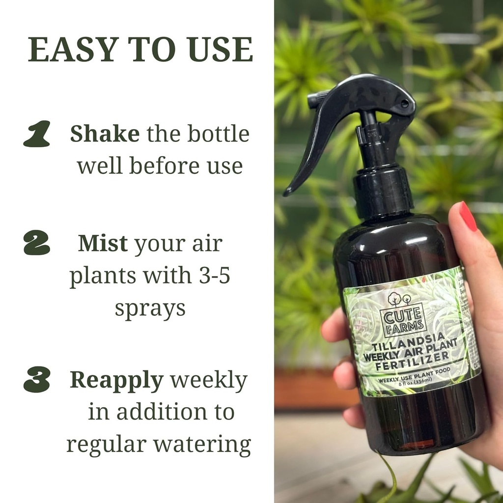 cute-farms-tillandsia-air-plant-fertiliz-4.jpg