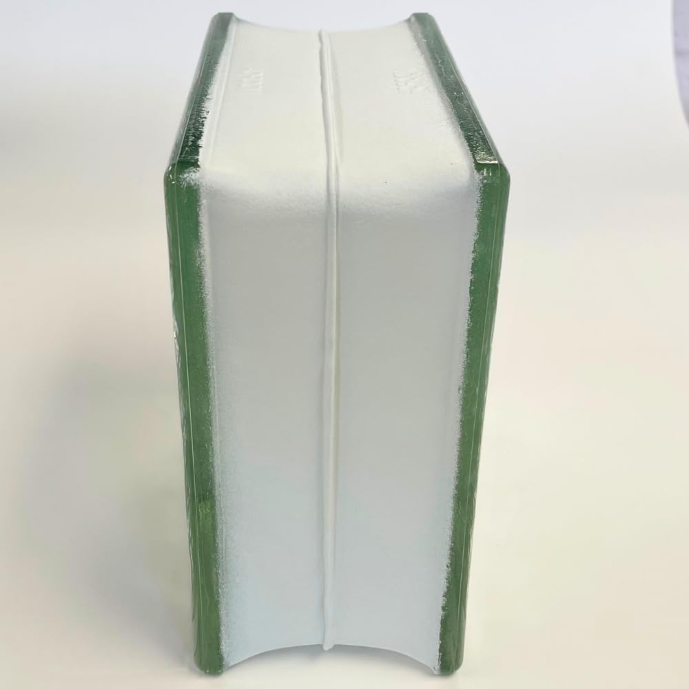 seves-glass-block-8-x-8-x-4-cortina-glas-5.jpg