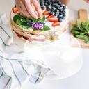 zerodeko-cake-dome-cover-plastic-food-co-4.jpg