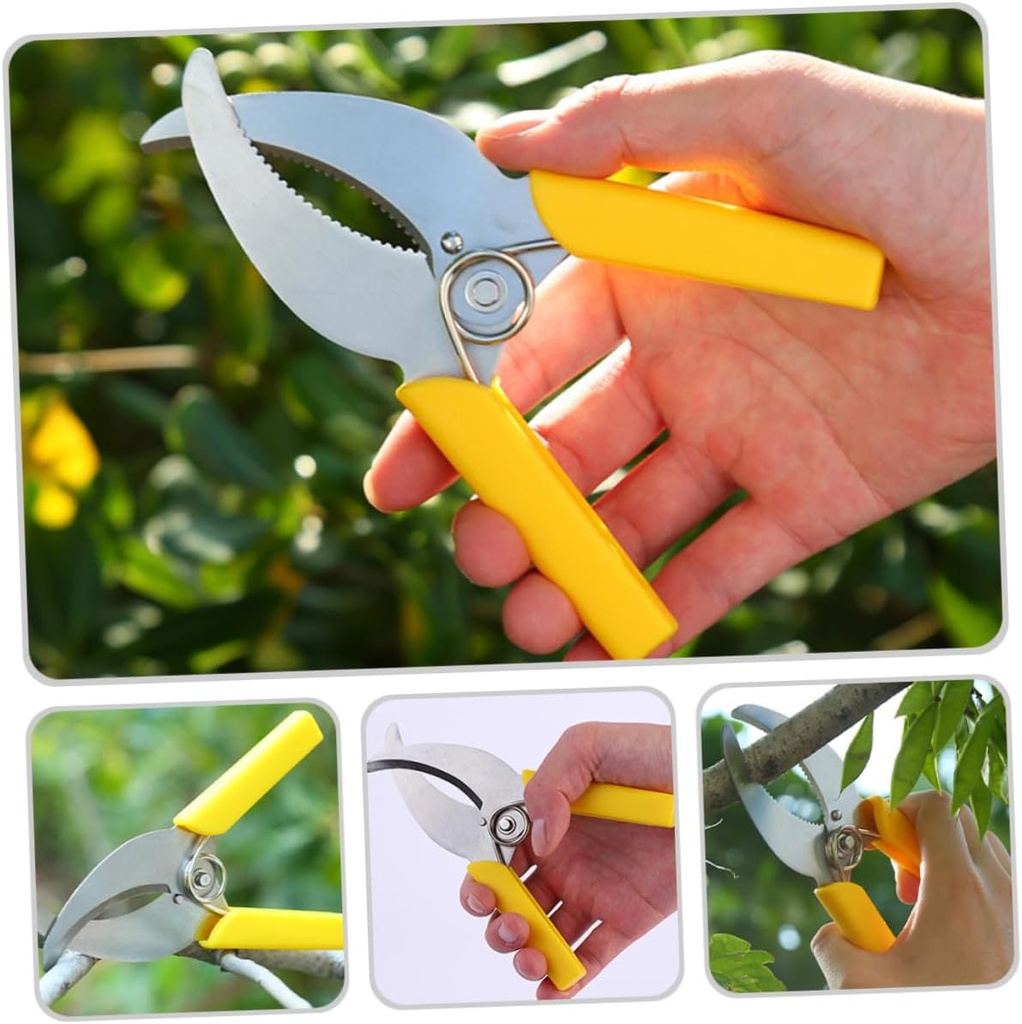 2pcs-stainless-steel-fruit-tree-peeler-g-4.jpg