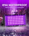 50w-led-black-lights-ip66-waterproof-bla-4.jpg