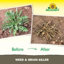 neudorff-weed-and-grass-killer-see-resul-3.jpg