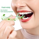 holy-rose-mint-twin-line-dental-floss-pi-4.jpg