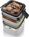 bento-box-adult-lunch-box-all-in-one-sta-4.jpg