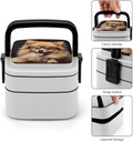 bento-box-adult-lunch-box-all-in-one-sta-5.jpg