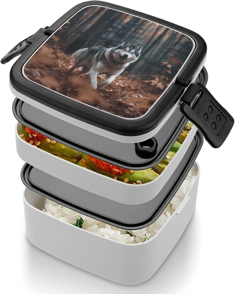 dog-bento-box-adult-lunch-box-all-in-one-4.jpg