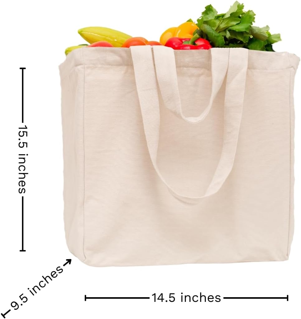 cloth-grocery-shopping-bags-handles---st-4.jpg