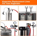 10ft-kegerator-beer-co2-gas-dual-lines-k-6.jpg