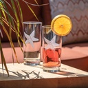 rolf-glass-starfish-highball-cooler-glas-4.jpg