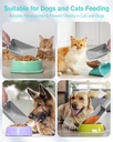 2-cup-dog-food-scoop2-pack-plastic-pet-f-6.jpg